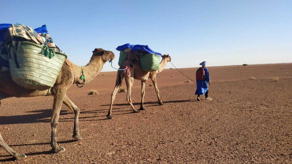 Berbers nomads of morocco