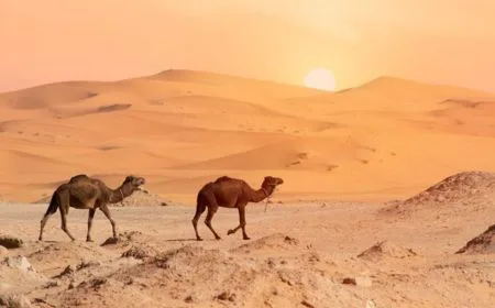 3 day tour Ouarzazate to Merzouga desert