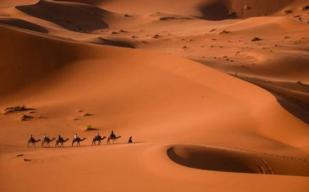 7 day desert tour from Casablanca